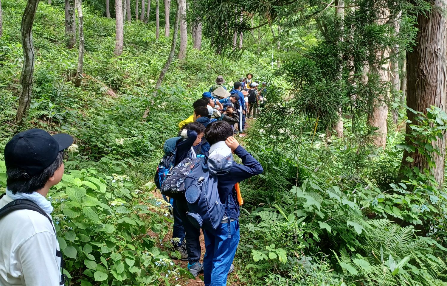 黒姫移動教室（登山）の様子